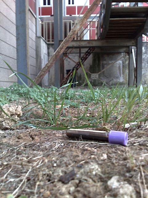 Campioni di sangue abbandonati vicino all’Ospedale civile di Pescara