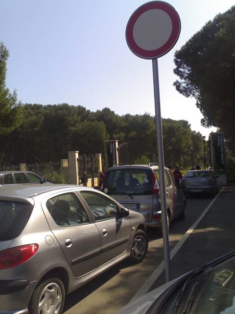 La pineta e la civilità  dei (molti) pescaresi che la frequentano