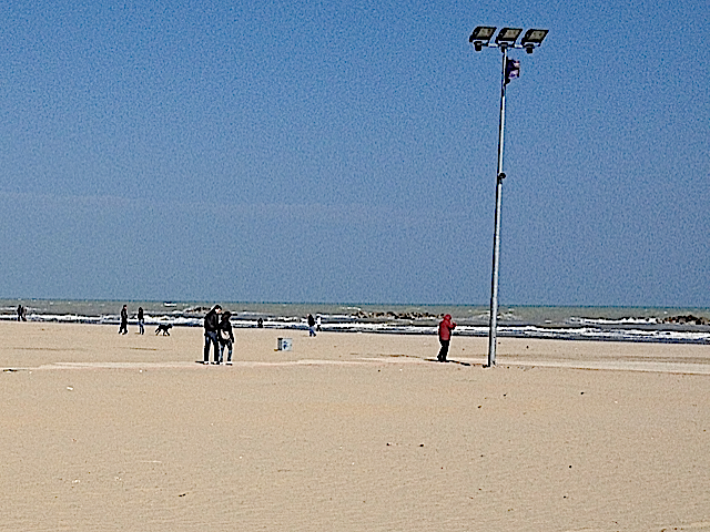 Cani e padroni (imbecilli) di cani